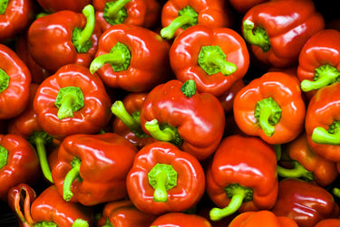 100 PIMENTO PEPPER (Red Sweet Pimientio / Italianelle / Cheese, Roasting, Frying Pepper) Capsicum Annuum Seeds